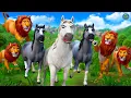 Download Lagu Epic Animal Kingdom Face-Off: Lion Pride vs Horse Herd Battle - Who Will Reign Supreme? Animal Fight