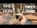 Found One Side To Popeye 12 Mile Shed Hunt
