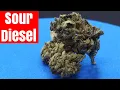 Sour Diesel Strain Review