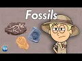 What are Fossils Science For Kids