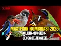 Download Lagu MASTERAN BURUNG JUWARA!!!  CUNGKOK - KINOI - JINGJING - KHASSS MENJERIT LAYAKNYA MESIN JAHIT