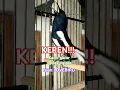 Download Lagu KEREN‼️ Kacer GACOR ngipas-ngipas isian LOVEBIRD