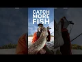 TipTop Fishing Forecast App