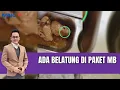 Download Lagu Full Siswa Unggah Video Belatung Dalam Paket MBG | LIS | 16/07