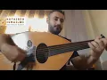 عزف عود سلطان قلبي مهند محسن