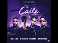 Revol, Bad Bunny, Bryant Myers - Caile (Audio) ft. Zion, De La Ghetto
