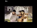 GURU RANDHAWA - PERFECT | Music Video | Varun Dhawan | Janhvi Kapor | Sunny Sanskari Ki Tulsi Kumari