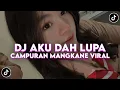 Download Lagu DJ DULU SAKIT SEKARANG DAH LEGA TAK NAK PUSING TAK NAK TANYA _ DJ AKU DAH LUPA CAMPURAN MANGKANE