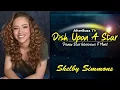 Shelby Simmons l Dish Upon A Star