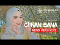 Download Lagu DJ CIINAN BANA - Fauzana (Remix) By DJ Suhadi Official