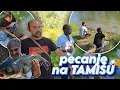 Download Lagu PECANJE PANCEVO TAMIŠ