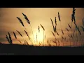 Country Music 2025 - Top Country Songs Playlist - Morgan Wallen Zach Bryan Luke Combs Thomas Rhett