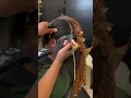 Braided Mohawk with Boho Braids
