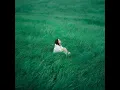 Green Reed - Amy Lo