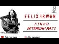 Download Lagu RINDU SETENGAH MATI - FELIX IRWAN COVER MP3