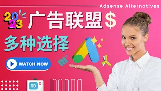 2023年最佳广告联盟简介 如何为网站和博客选择正确的广告联盟 Adsense PropellerAds Media Net Ezoic MediaVine对比 