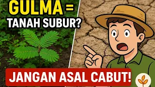 weeds as indicators of soil fertility without lab testing