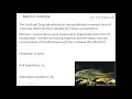 Hypothesis Testing Part 2 of 5