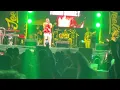 Yohan Marley - Jo Mersa Marley's Birthday Celebration - Reggae Land 9 Mile - March 9th 2024