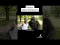 Download Lagu Random Bigfoot Moments 18 #funny #tiktok #bigfoot #yeti #humor #ai #vlog #veo3 #meme #memes #shorts