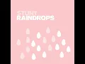 Raindrops (Extended Mix)