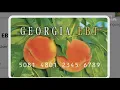 Georgia SNAP recipients begin receiving partial benefits amid shutdown what you need to know