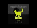 Download Lagu Re-Tide pres. Elisabeth - Come Home (Re Tide's Vocal Mix)