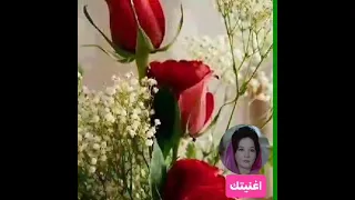 والنبي وحشتنا للفنانه شاديه دندنها
