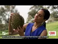 Download Lagu Smell of success: Malaysia's fresh durian exports to China set to surge