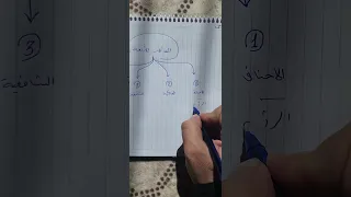 المذاهب الأربعة  المذاهب الأربعة