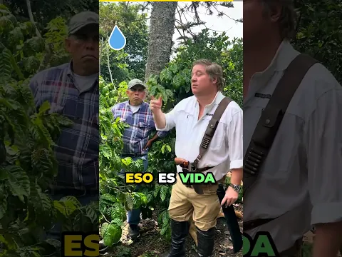 Cosechas! #agriculture