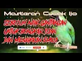 Download Lagu Masteran Cak Ijo Agar Bongkar Isian dan Menaikkan Emosi Sebelum Naik Gantangan