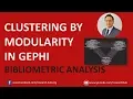 Bibliometrics 23 Research theme clustering using modularity in Gephi