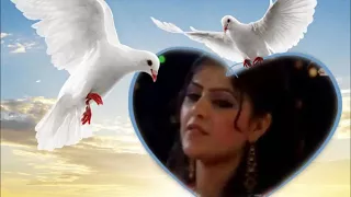 Bilal Akbari Nesar Jan Song بلال اکبری اهنگ نثار جان 