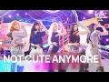 NOT CUTE ANYMORE - ILLIT | SBS 251130 방송
