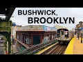 Bushwick Brooklyn Explained