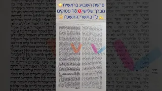 קריאת התורה לשבת פרשת בראשית 146 פסוקים כ ה בתשרי התשפ ו לשמיעה נעימה ותבורכו מפי עליון 