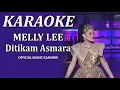 KARAOKE Melly Lida Ditikam Asmara - Lida 2020 || Official Karaoke Lirik