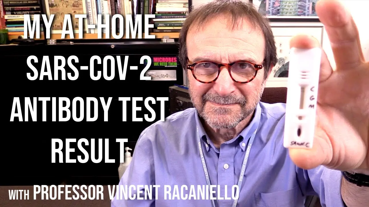 My at-home SARS-CoV-2 antibody test result