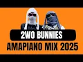 Download Lagu AMAPIANO MIX 2025 | 2WO BUNNIES | Live at SKOP | 16 MARCH