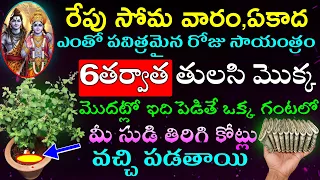 రేపు సోమ వారం,ఏకాదశి ఎంతో పవిత్రమైన రోజు సాయంత్రం 6తర్వాత తులసి మొక్క మొదట్లో ఇది పెడితే ఒక్క గంటలో