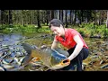Download Lagu 3 days heavy rain catch - How to harvest a giant fish pond to sell at market