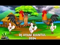 Download Lagu DJ Ayam MANTULL 1!1!1!