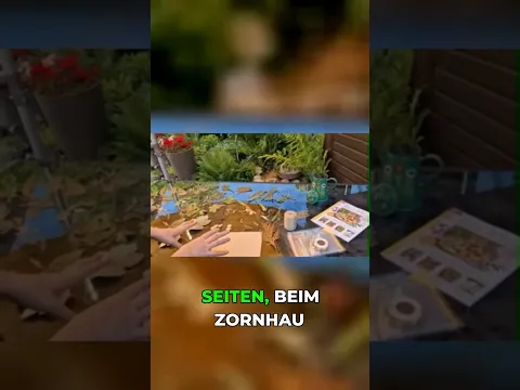 Dein persönliches Bastel-Set: Wähle, was dich inspiriert!