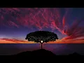 Martin Jensen- Solo Dance(speed up)