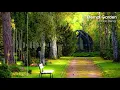 Download Lagu Eternal Garden - Dan Henig (Royalty Free Music)