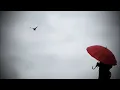 Max Richter - De Profundis