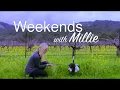 Weekends with Millie Episode 1 Exploring Morro Bay