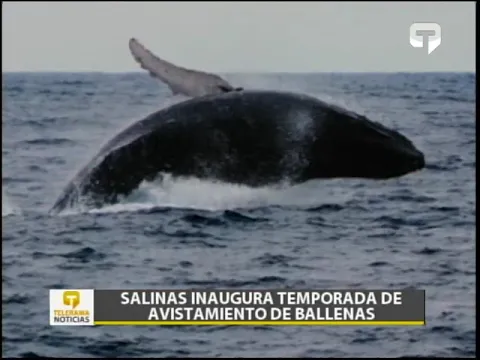 Ing. José Behr Paredes 