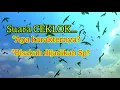 Download Lagu SUARA CEKLOK,BISAKAH UNTUK SP?